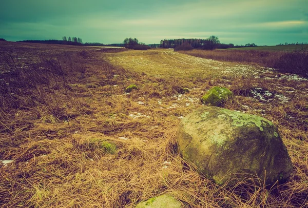 Vintage landscape of winter field