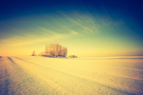 Paisagem vintage de campo de inverno — Fotografia de Stock