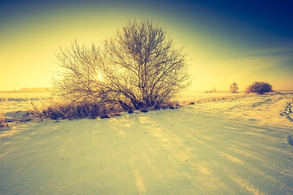 Paisagem vintage de campo de inverno — Fotografia de Stock