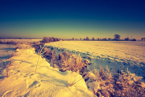 Vintage krajobraz zimowy pola — Zdjęcie stockowe