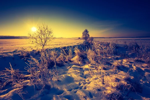 Vintage landscape of winter field — Stock Photo, Image