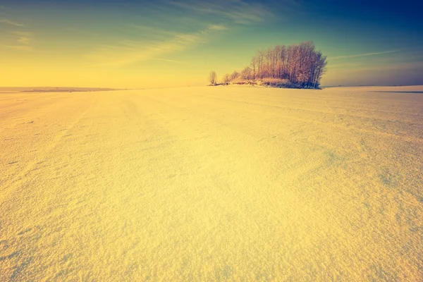 Paisagem vintage de campo de inverno — Fotografia de Stock