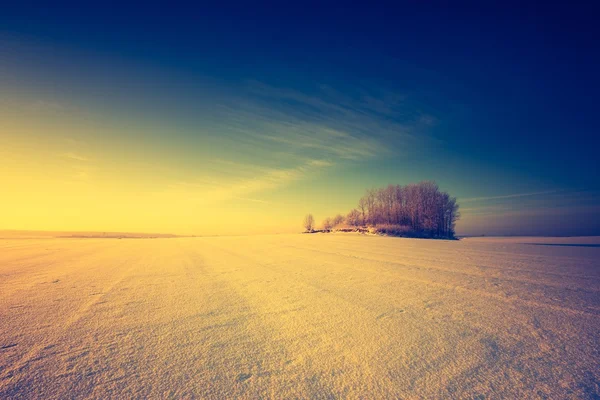 Vintage landschap van winter veld — Stockfoto