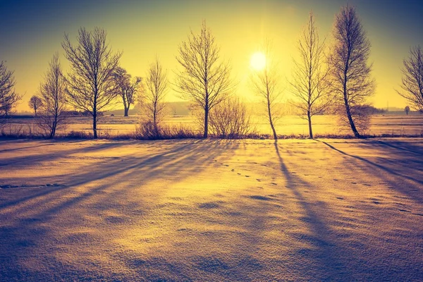 Paisagem vintage de campo de inverno — Fotografia de Stock