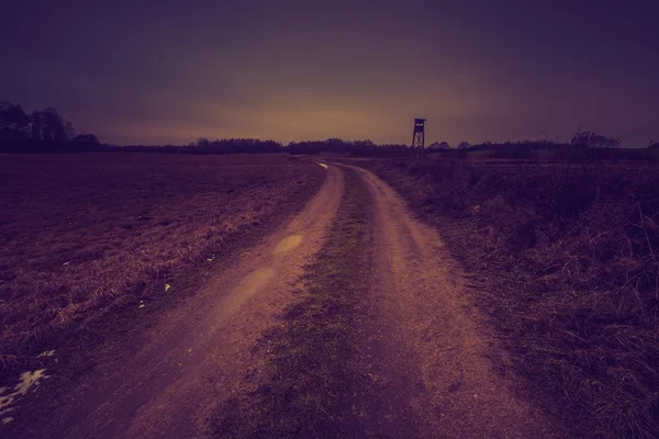 Vintage-Foto von Feld mit erhöhtem Fell — Stockfoto