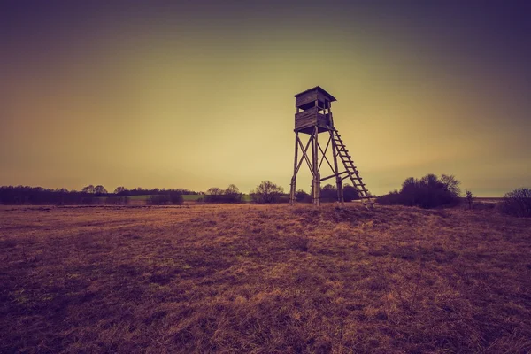 Vintage-Foto von Feld mit erhöhtem Fell — Stockfoto