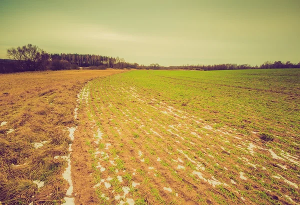 Винтажный пейзаж зимнего поля — стоковое фото
