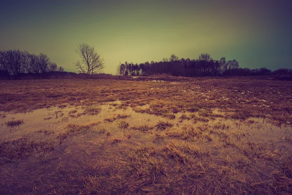 Вінтажний пейзаж зимового поля — стокове фото