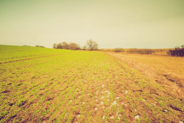 Weinlese Landschaft des Winterfeldes — Stockfoto