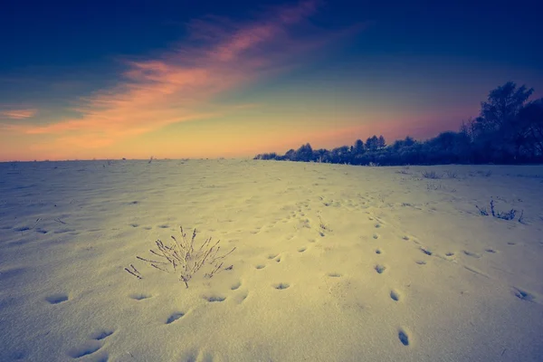 Paisagem vintage de campo de inverno — Fotografia de Stock