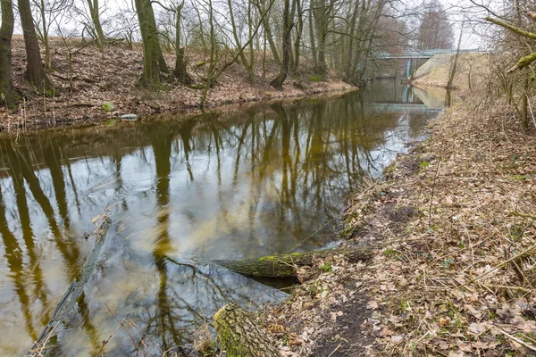 Fiume nella foresta primaverile in Polonia — Foto Stock