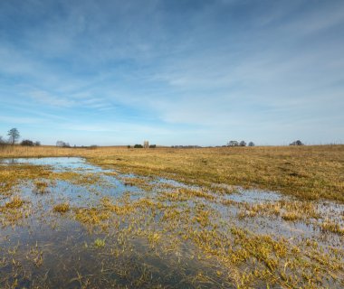Çayır yakınındaki sulak alanlar üzerinde erken ilkbahar