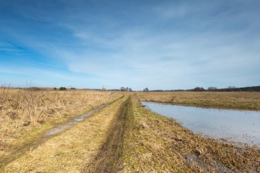 Çayır yakınındaki sulak alanlar üzerinde erken ilkbahar