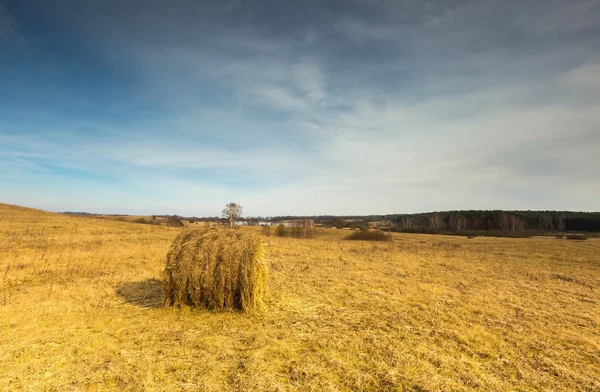 Early spring meadow landscape in Poland. — Stock Photo, Image