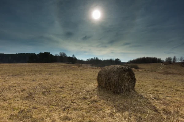 Paisaje del prado de primavera temprana en Polonia . —  Fotos de Stock