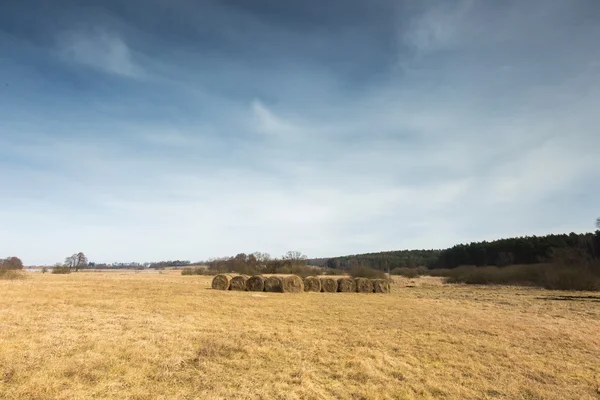 Ландшафт лугов ранней весной в Польше . — стоковое фото