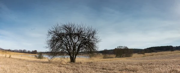 Paisaje del prado de primavera temprana en Polonia . — Foto de Stock