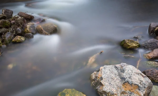 Close up of river with stones and plants — Stock Photo, Image