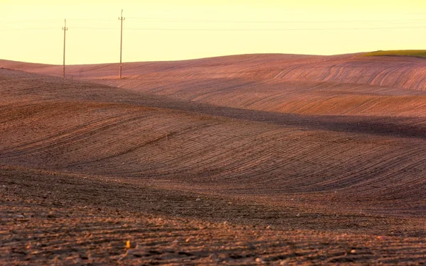 Natuurlijke landschap van agrarische velden aan begin van de lente — Stockfoto