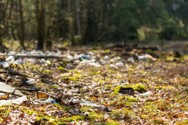 Bahar ormandaki yasadışı çöp