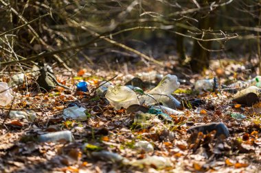 Bahar ormandaki yasadışı çöp