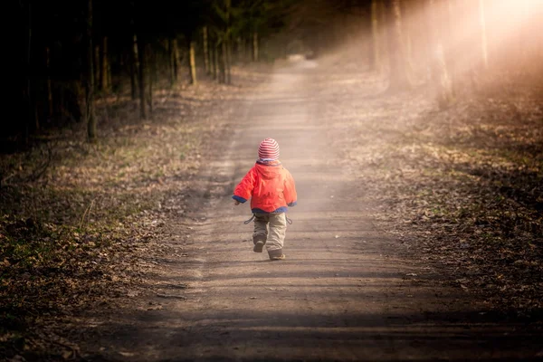 Ormanda açık oynarken mutlu beyaz çocuk