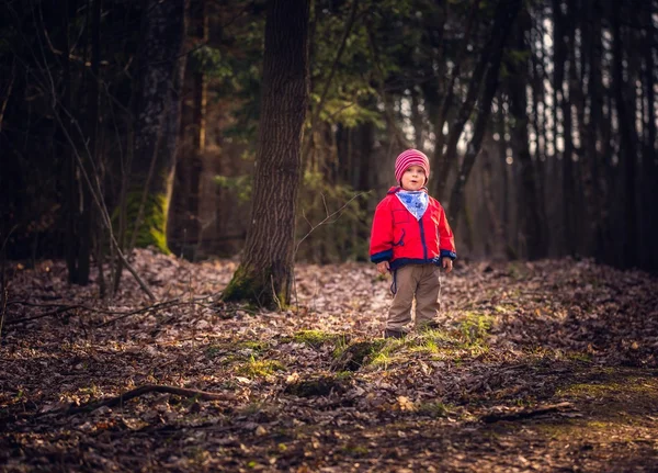 Ormanda açık oynarken mutlu beyaz çocuk