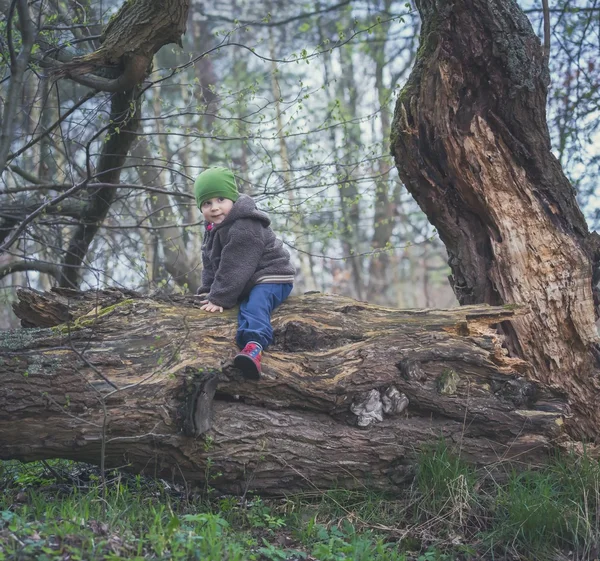 Young boy playing outdoor at spring day. sitting on old fallen tree — Stock Photo, Image