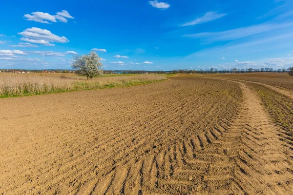 Spring plowed field under blue sky with clouds — Stock Photo, Image