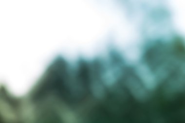 Orman bokeh arka plan.