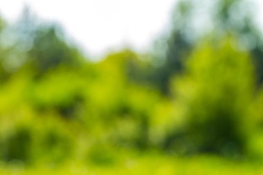 doğal bokeh arka plan