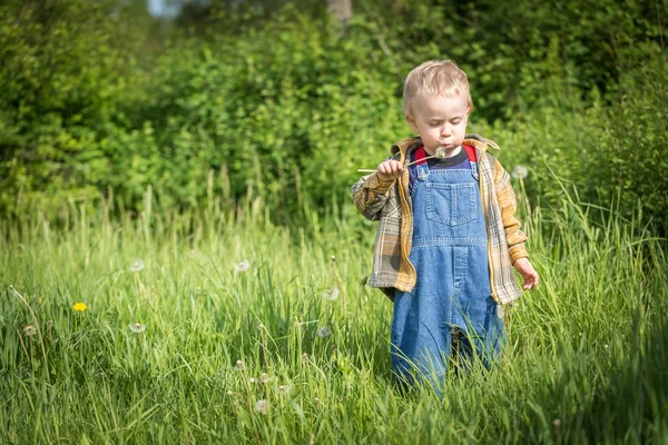 Çocuk açık içinde poz