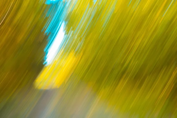 Fundo abstrato artístico com floresta — Fotografia de Stock