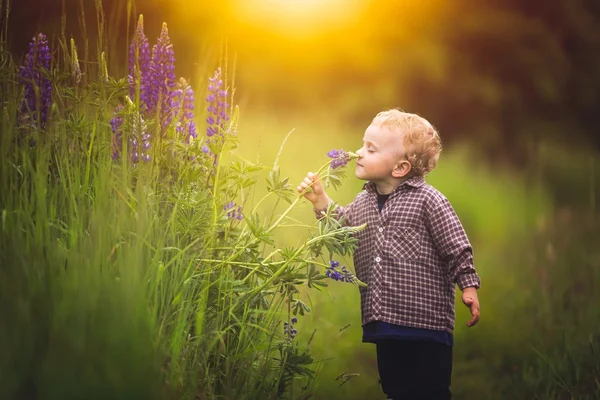 Bonito menino brincando ao ar livre no pôr do sol de verão . — Fotografia de Stock