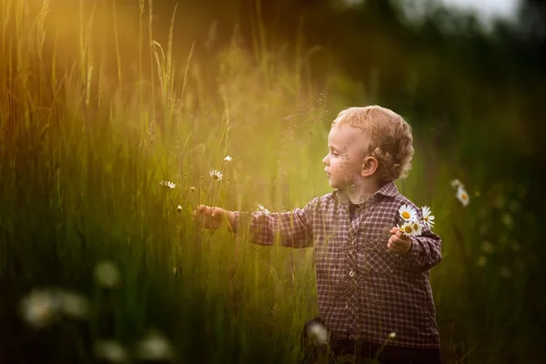 Bonito menino brincando ao ar livre no pôr do sol de verão . — Fotografia de Stock