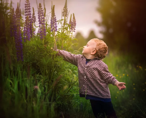 Bonito menino brincando ao ar livre no pôr do sol de verão . — Fotografia de Stock