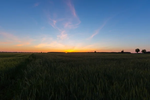 Krásné po západu slunce obloha nad pole v Polsku. — Stock fotografie