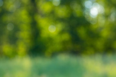 doğal bokeh arka plan. 