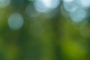 doğal bokeh arka plan. 