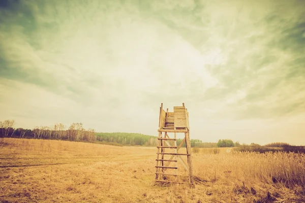 Vintage-Landschaft mit erhöhtem Fell. — Stockfoto