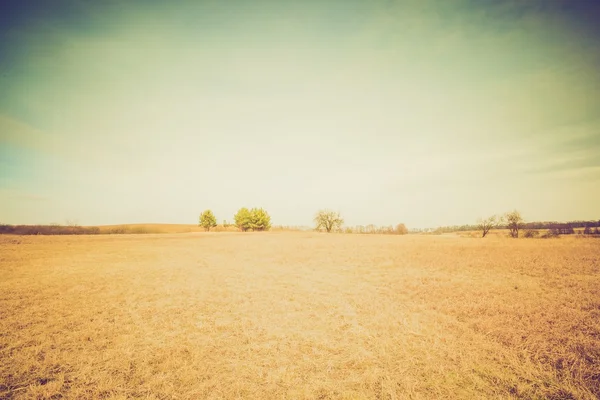 Vintage-Foto von gepflügten Feld Landschaft — Stockfoto