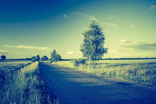 Foto vintage del hermoso atardecer sobre el campo de verano . — Foto de Stock