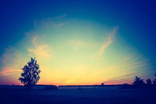 Vintage foto de belo pôr do sol sobre o campo de verão . — Fotografia de Stock