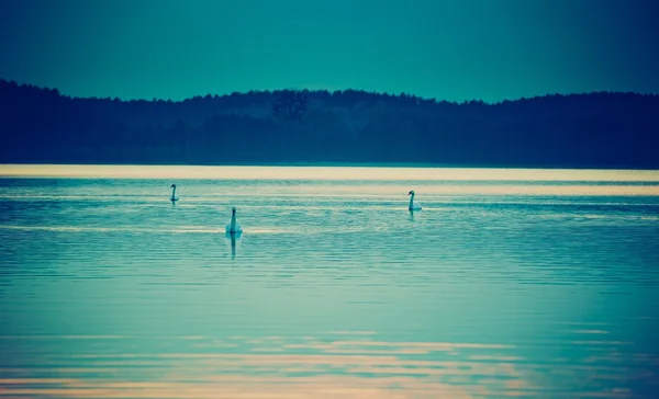 Vintage photo of sunset over calm lake — Stock Photo, Image