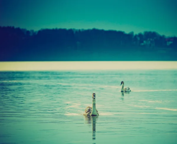 Vintage foto av solnedgången över lugn lake — Stockfoto