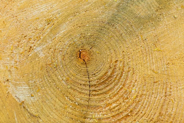 Drzewo węzłów tło — Zdjęcie stockowe