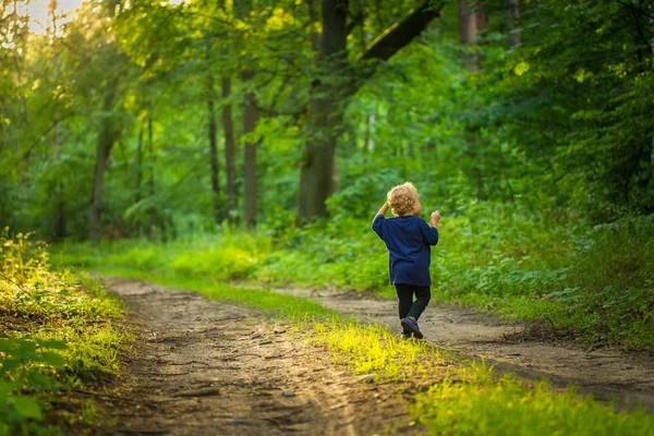 Kleine blonde jongen spelen in bos — Stockfoto