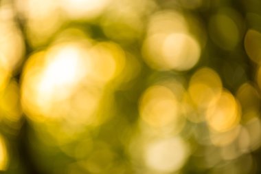 güzel doğal bokeh arka plan