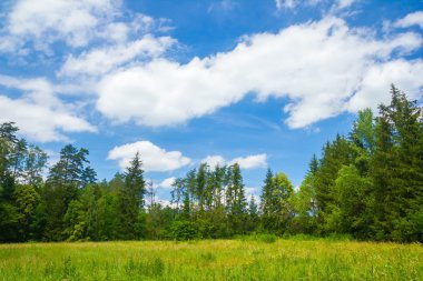 Güzel yaz günü mavi gökyüzü ve bulutlar