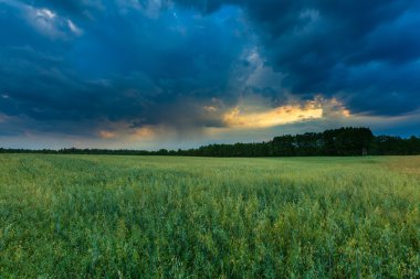 Polonya alanları üzerinde güzel fırtınalı gökyüzü
